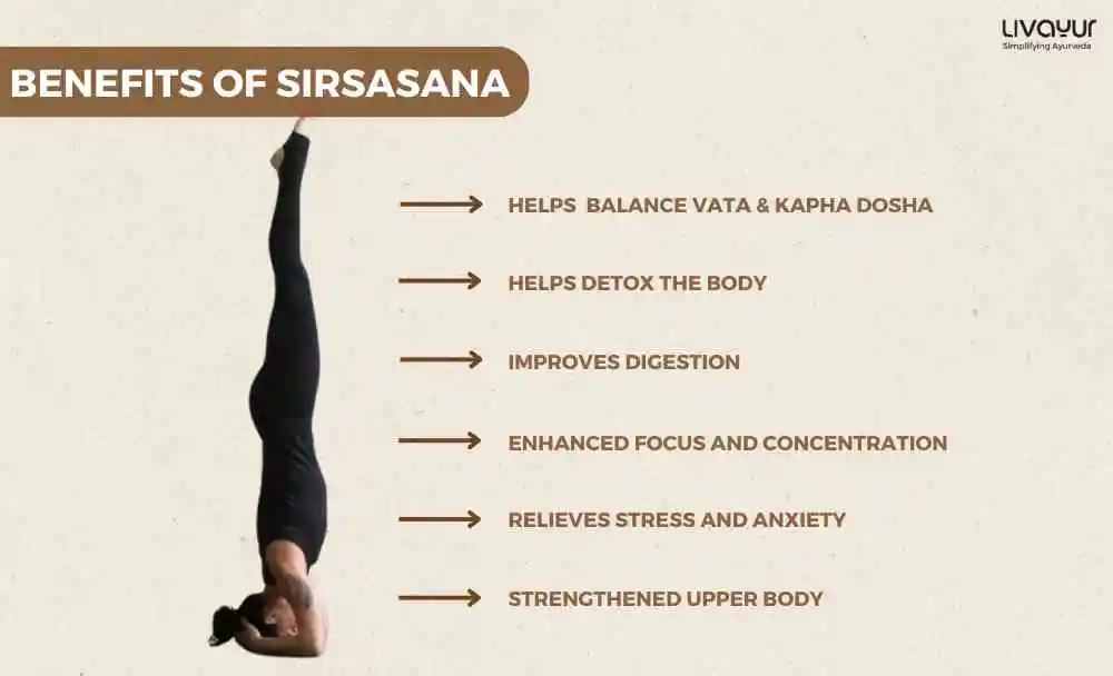 Sirsasana Headstand Benefits How to do Sirsasana Step by Step