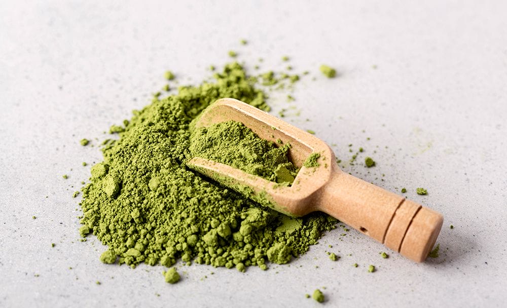 moringa powder benefits - livayur