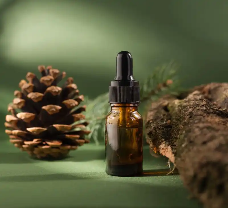 pine bark extract