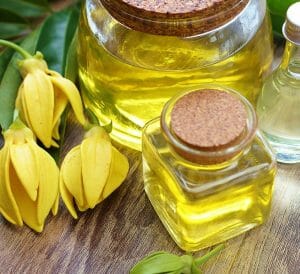 ylang ylang - livayur