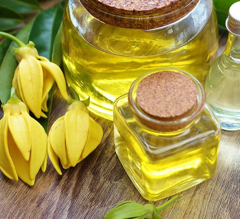 ylang ylang - livayur