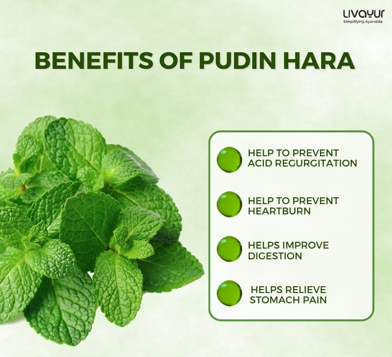 Uses of Pudin Hara