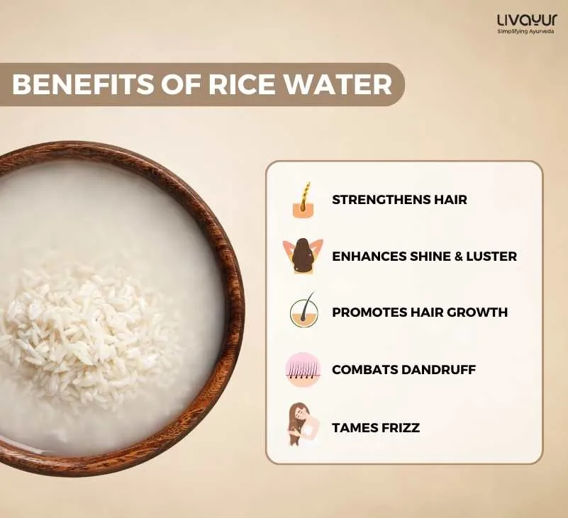 Rice Water for Hair 10 Benefits and How to Use it