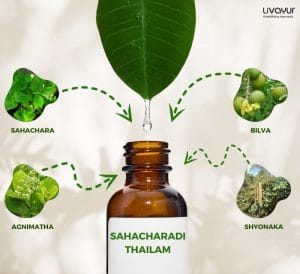 Sahacharadi Thailam Uses Benefits More 1