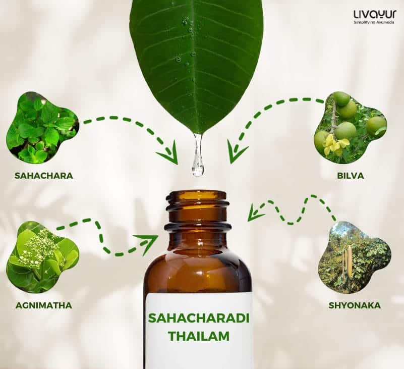 Sahacharadi Thailam Uses Benefits More 1