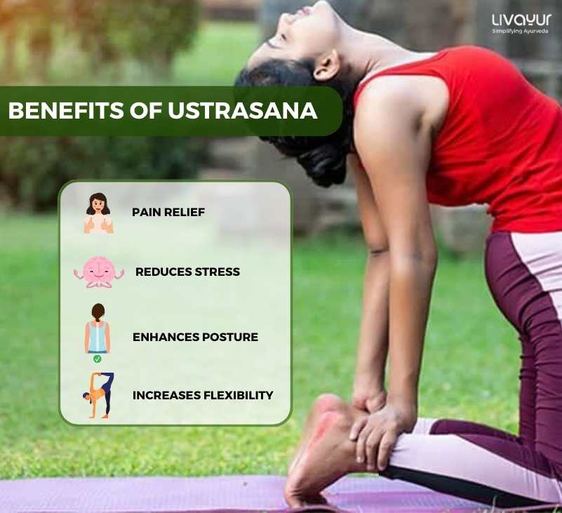 Ustrasana Camel Pose Benefits How to do it Step by Step