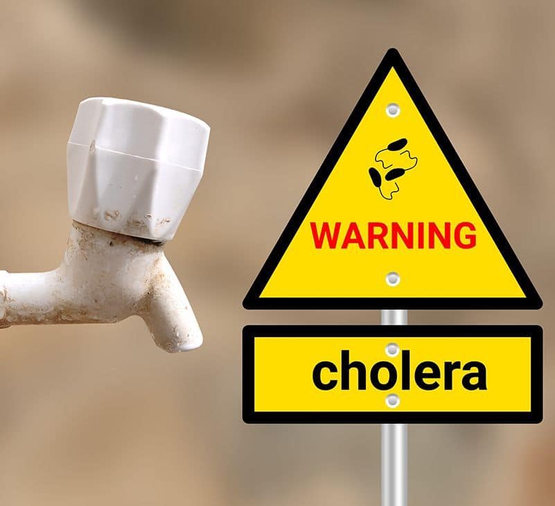 cholera symptoms - livayur