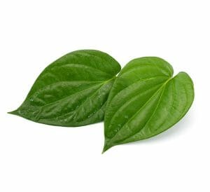 betel leaf benefits - livayur
