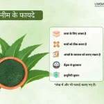 नीम के 10 फायदे जो आपको कर देंगे हैरान 1 10