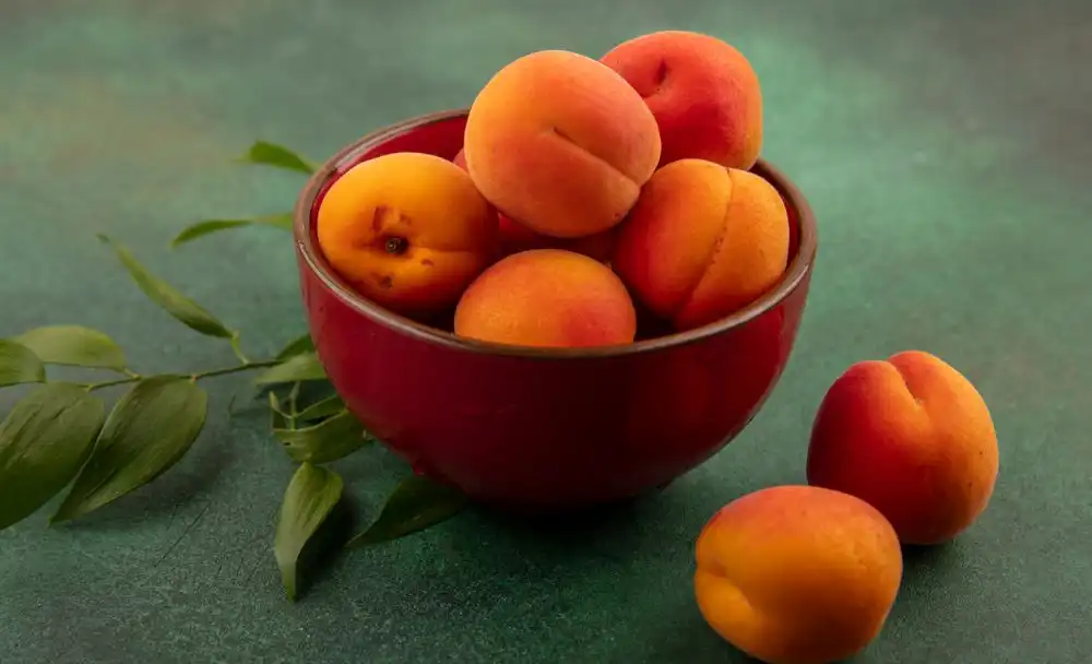 dry apricots