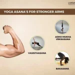 15 Best Arm Workouts at Home for Stronger Arms 1