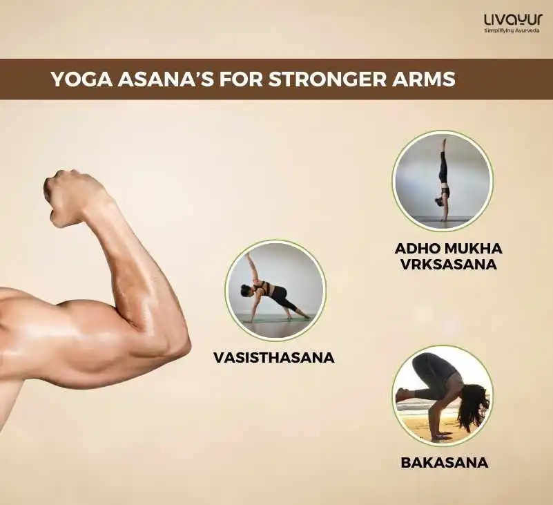 15 Best Arm Workouts at Home for Stronger Arms 1