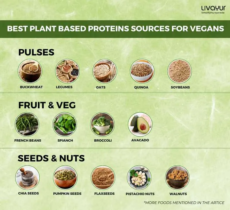 20 Best Plant Based Proteins Sources for Vegans 5 15 11zon