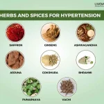 Dash Diet for Hypertension What to Eat What to Avoid