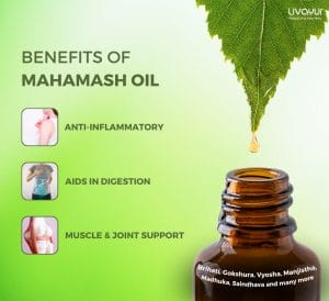 Mahamash Oil Ingredients Benefits Uses Dosage and Side Effects 2