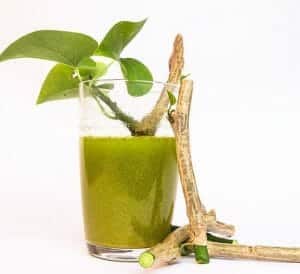 giloy juice benefits
