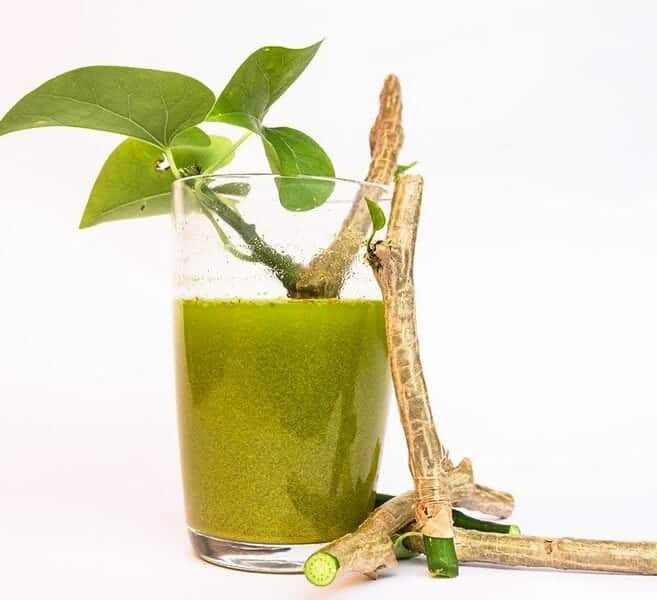 giloy juice benefits