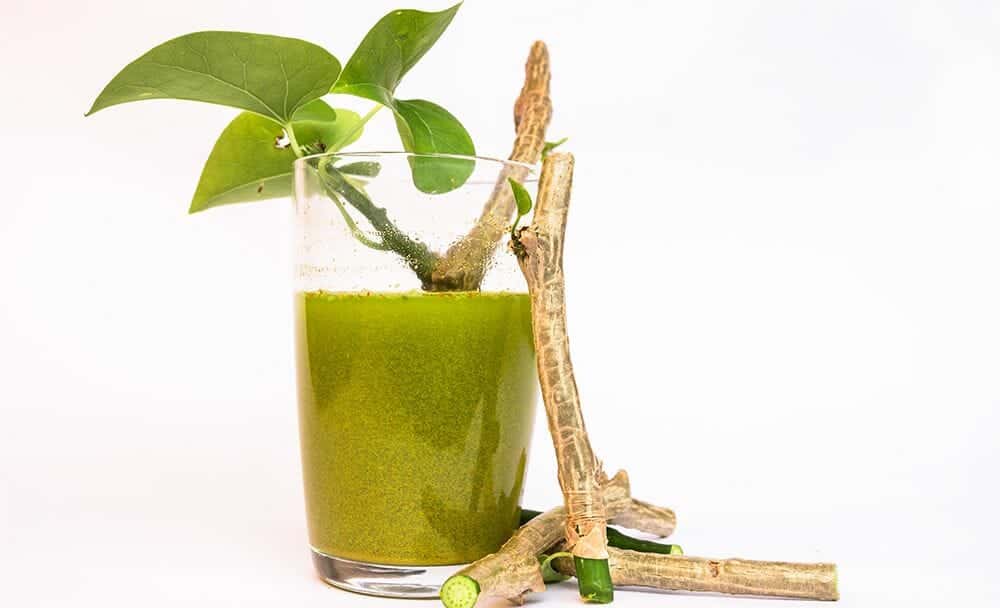 giloy juice benefits