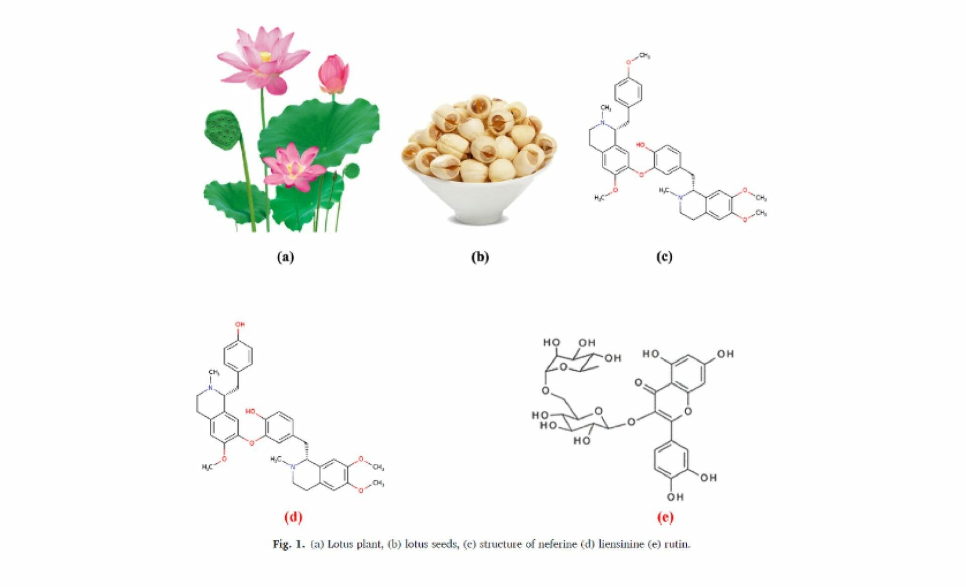 Chemical structure of the lotus seeds