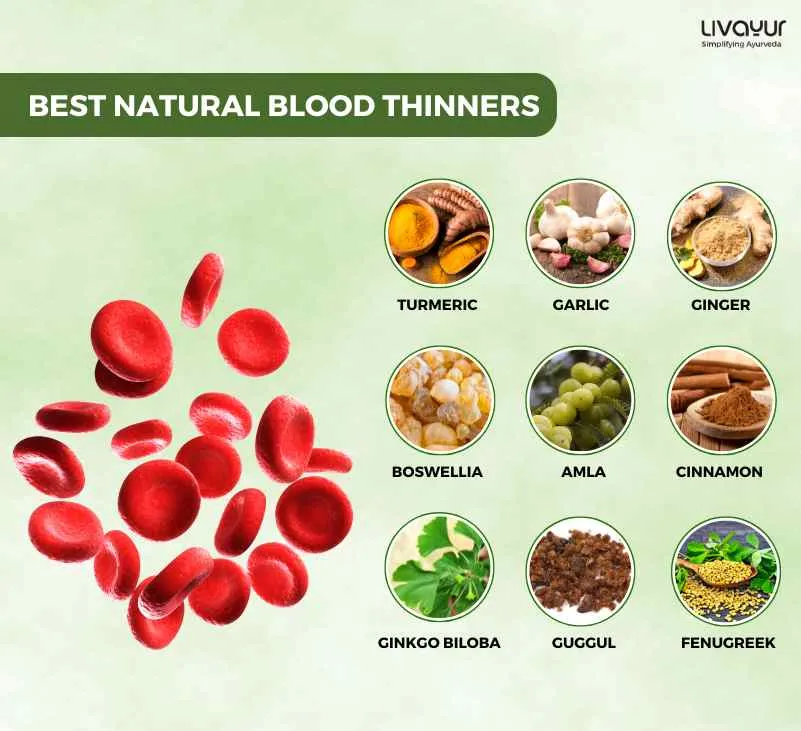 15 Best Natural Blood Thinners Food and Supplements 24 11zon