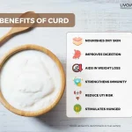 20 Proven Benefits of Curd for Overall Health 3 16 11zon
