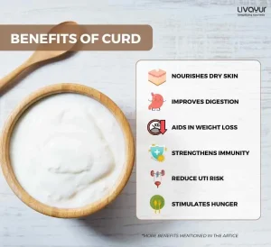 20 Proven Benefits of Curd for Overall Health 3 16 11zon