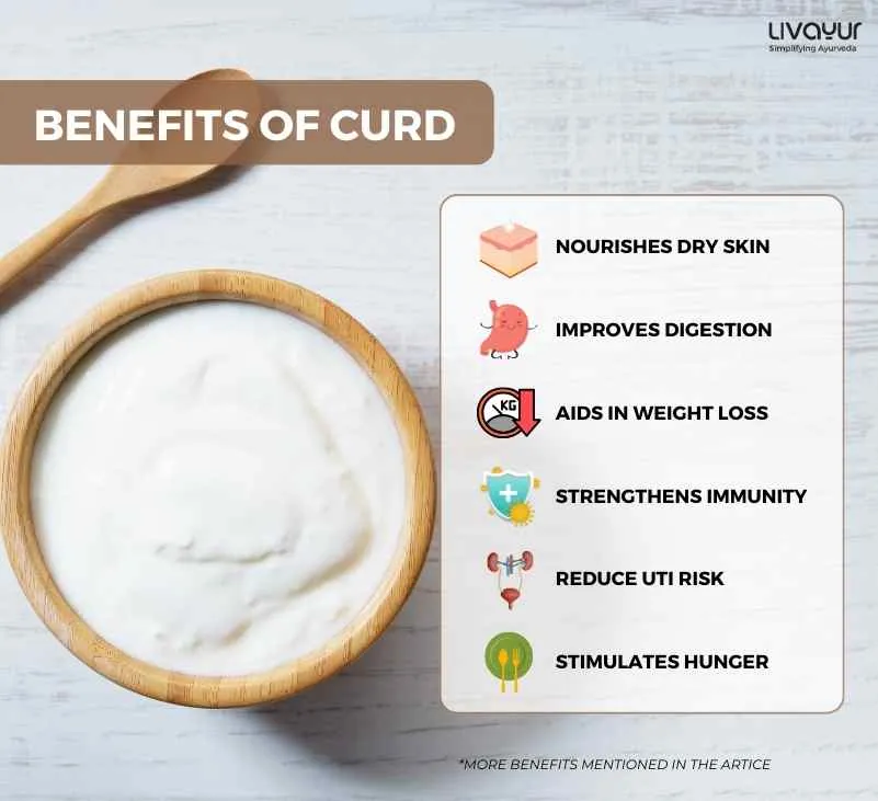 20 Proven Benefits of Curd for Overall Health 3 16 11zon
