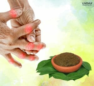 Ayurvedic Lepa