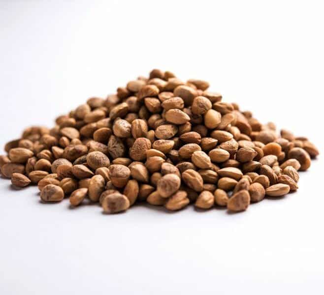 charoli seeds