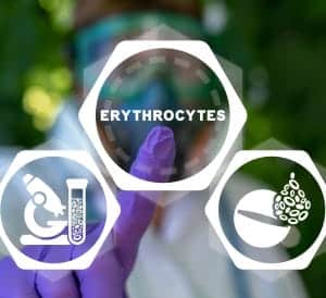 esr reducing foods