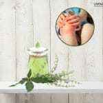 Nirgundi oil for Joint pain 2