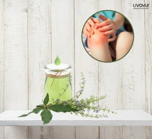 Nirgundi oil for Joint pain 2