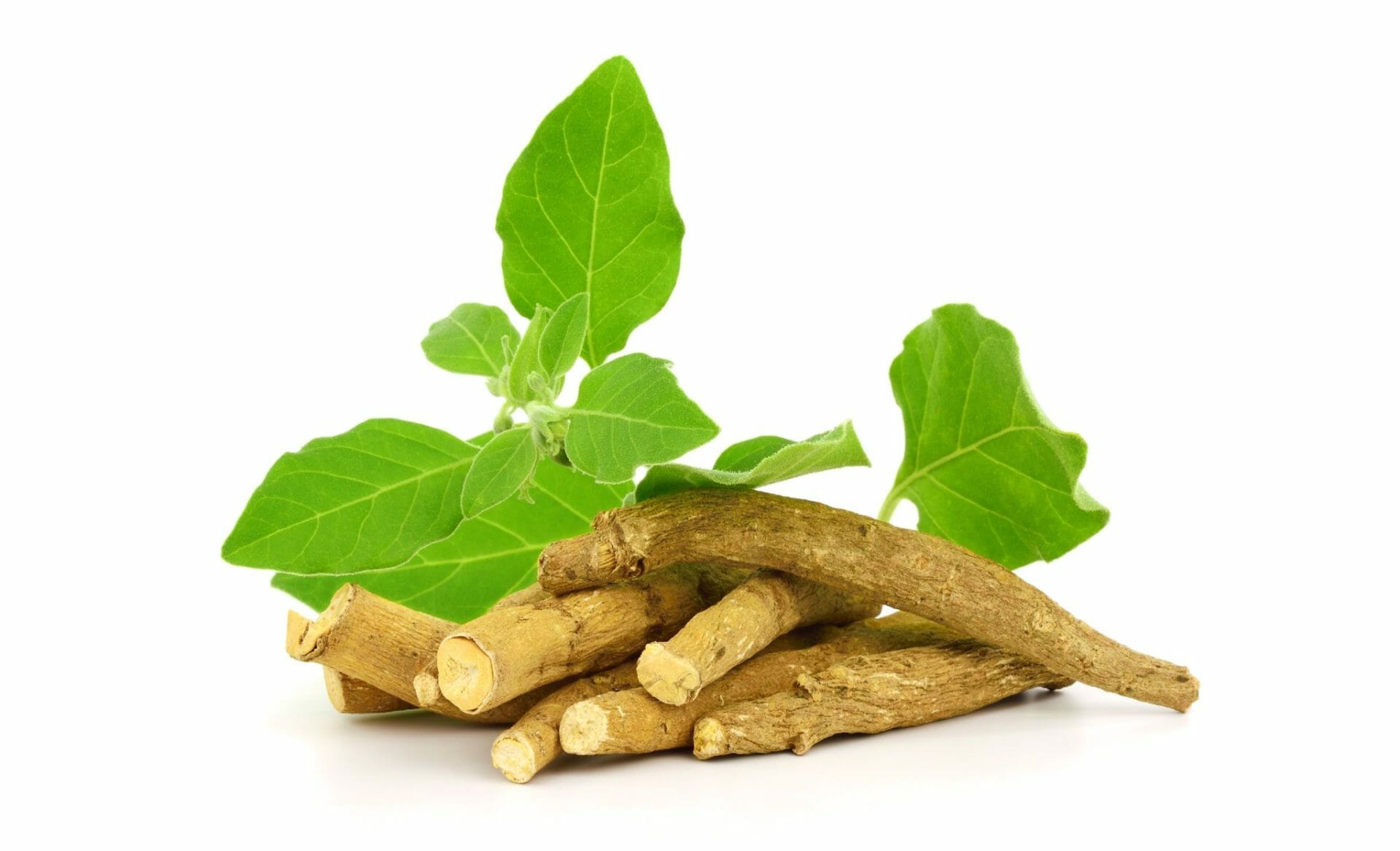 Ashwagandha for vaginal dryness