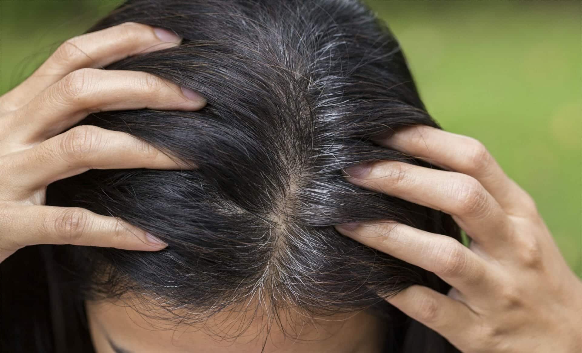 hibiscus leaves benefits for hair