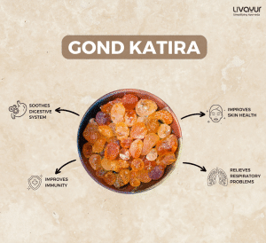 gond katira - livayur