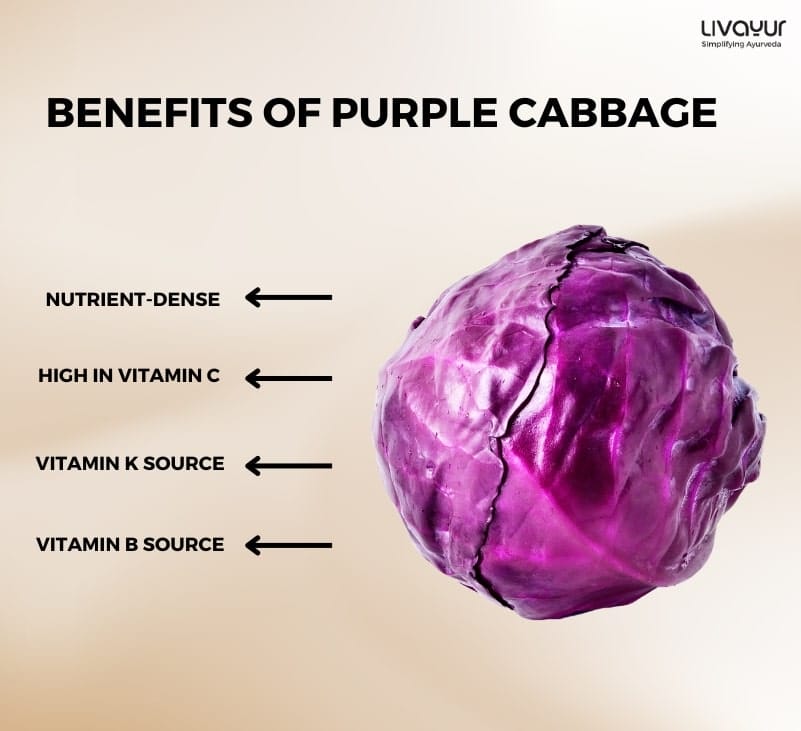 purple cabbage - livayur