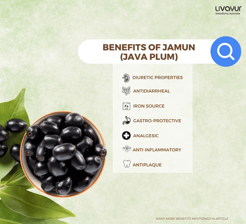 java plum benefits