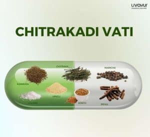 chitrakadi vati herb
