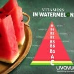 watermelon juice benefits