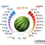 is watermelon good for weight loss