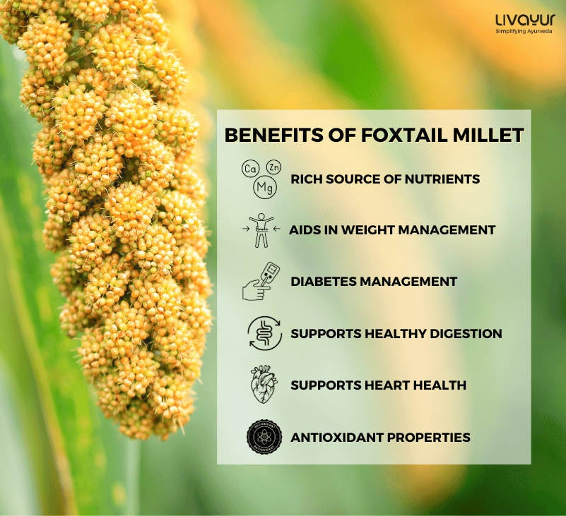 foxtail millet - livayur