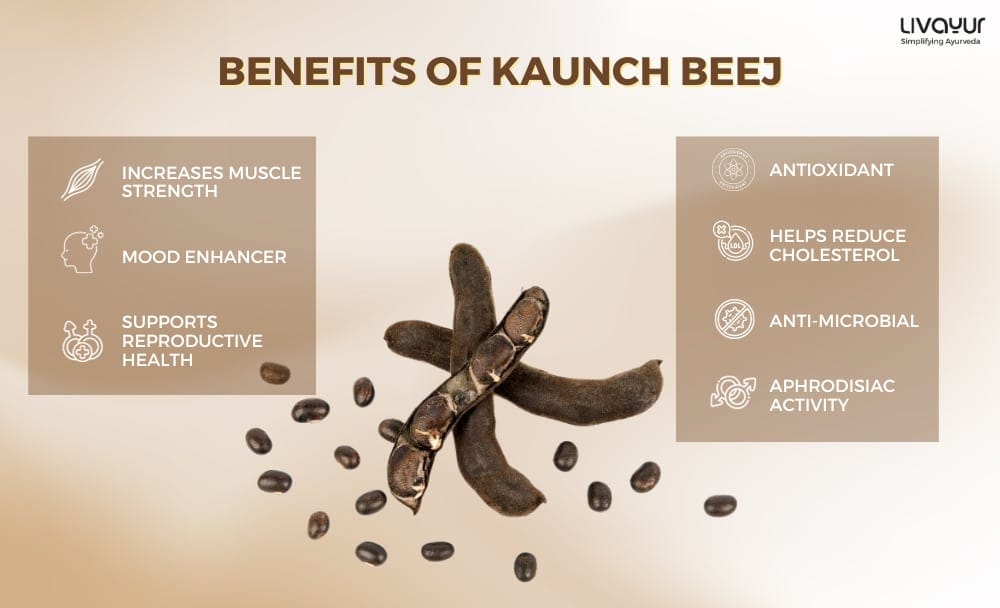 Kaunch Beej Nutrition Benefits Uses Side Effects More 1