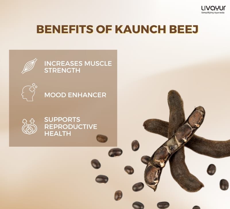 kaunch beej - livayur