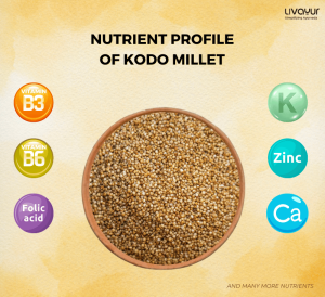 kodo millet