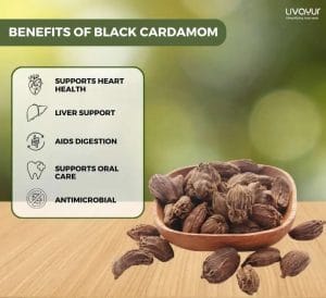 black cardamom - livayur