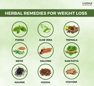 11 Best Ayurvedic Herbs for Weight Loss 1