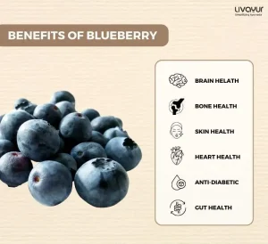 benefits of blueberry