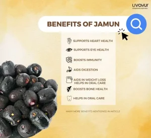 jamun fruit - livayur