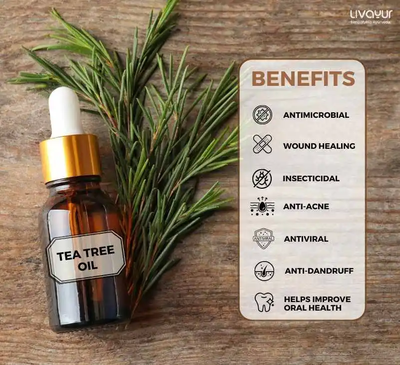 20 Incredible Benefits of Tea Tree Oil | Livayur