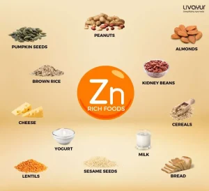 zinc rich foods - livayur